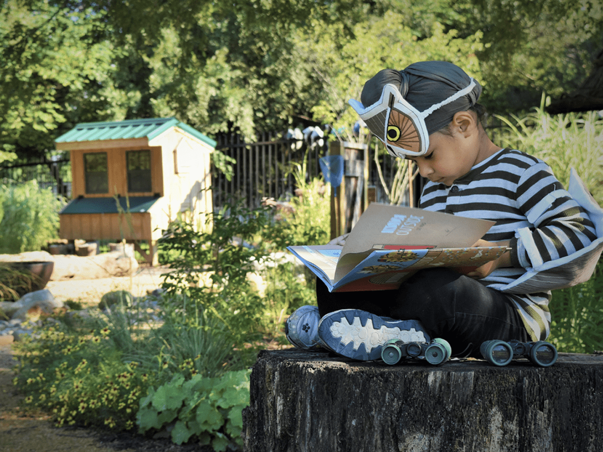 boy reading book outside on tree stump