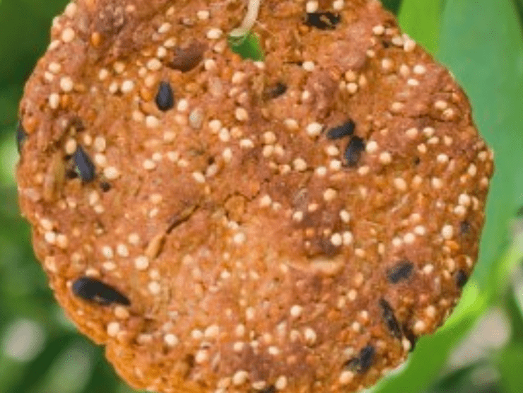 Birdseed cookie hanging from a string in a tree 